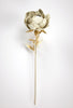 Sarindo™ - Bloemen Kunst